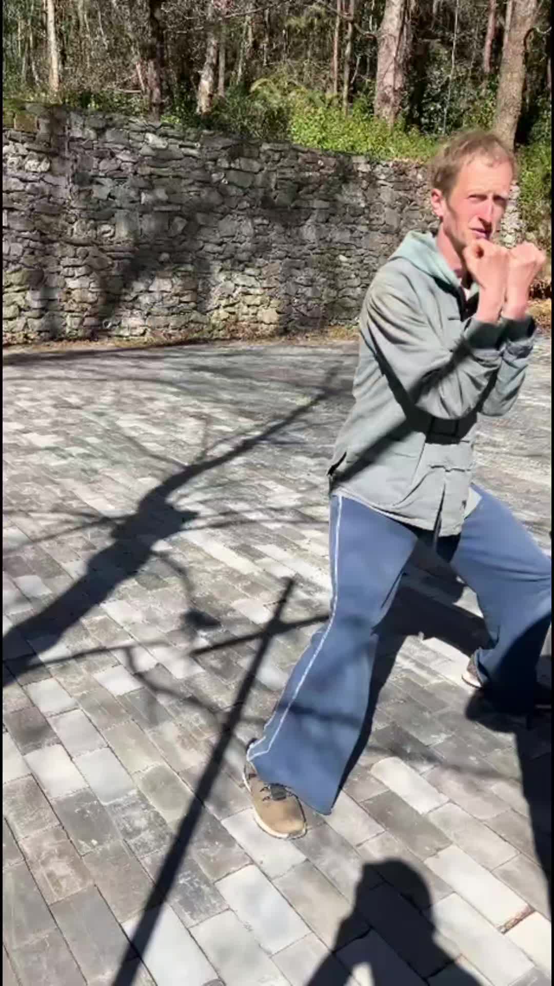 @shaolinkungfu