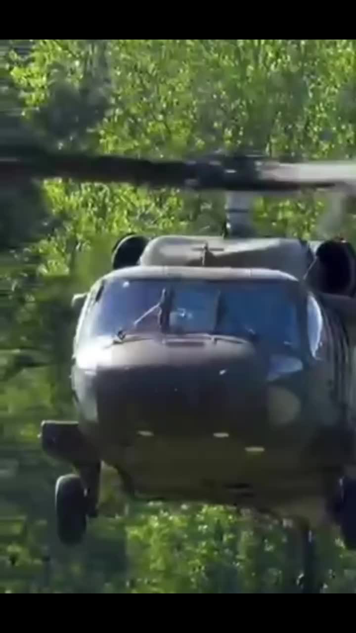 @🤴🏾🇺🇲DouggyKing🇺🇲⚔️🏰🐺🐻