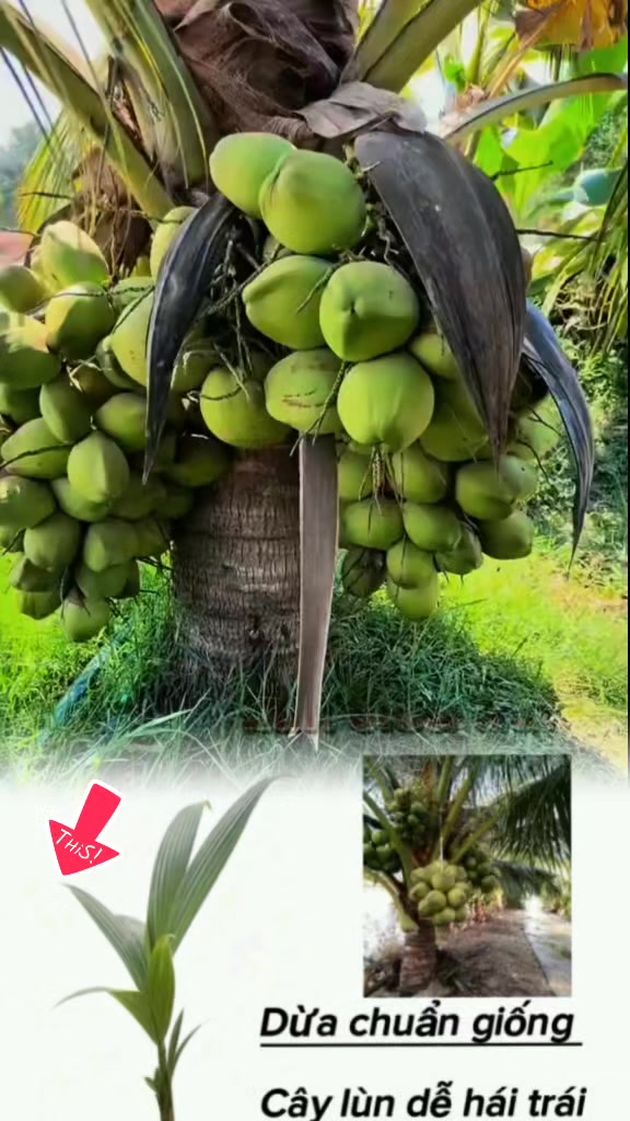 @tới đồ dùng