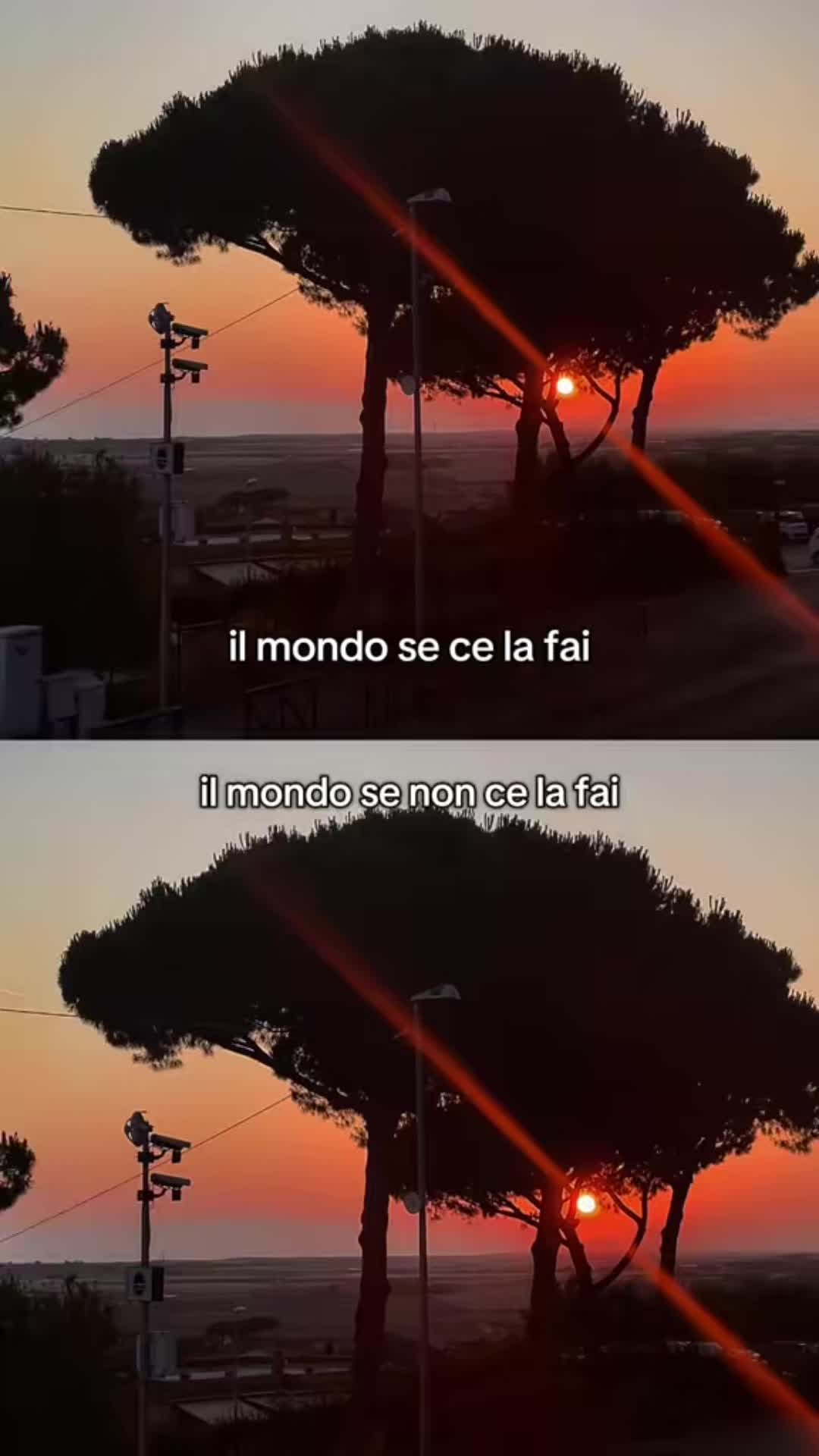 @chiara