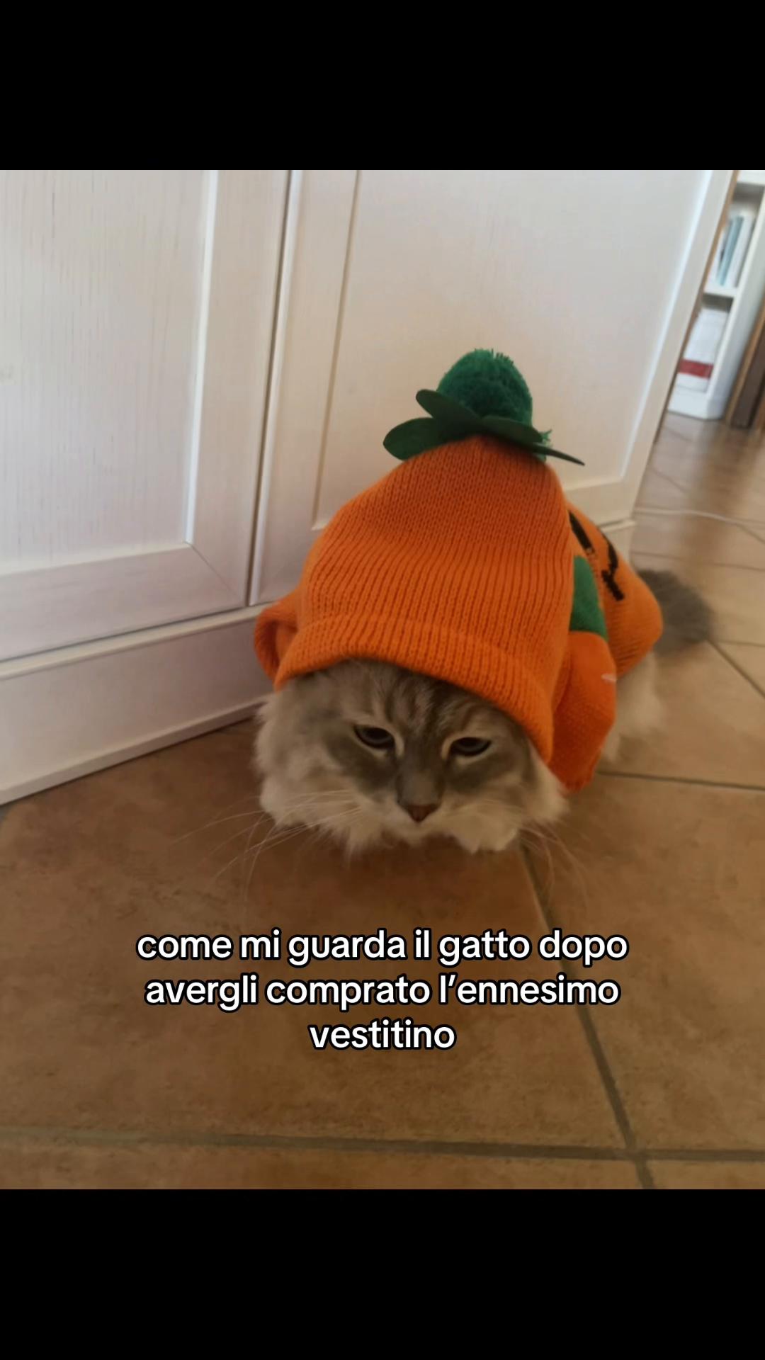 @ludo__spamm