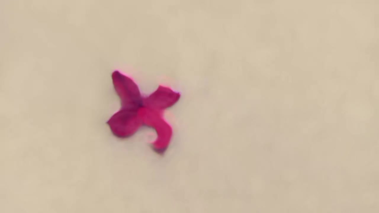 @ﺳَۅࢪيهۃ|𝑆𝒐𝒓𝒆𝒂🌸🖤