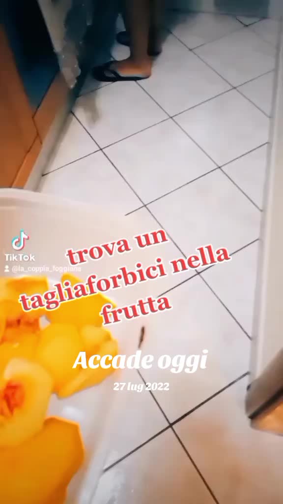 @🚻LaCoppiaFoggiana&reg;️