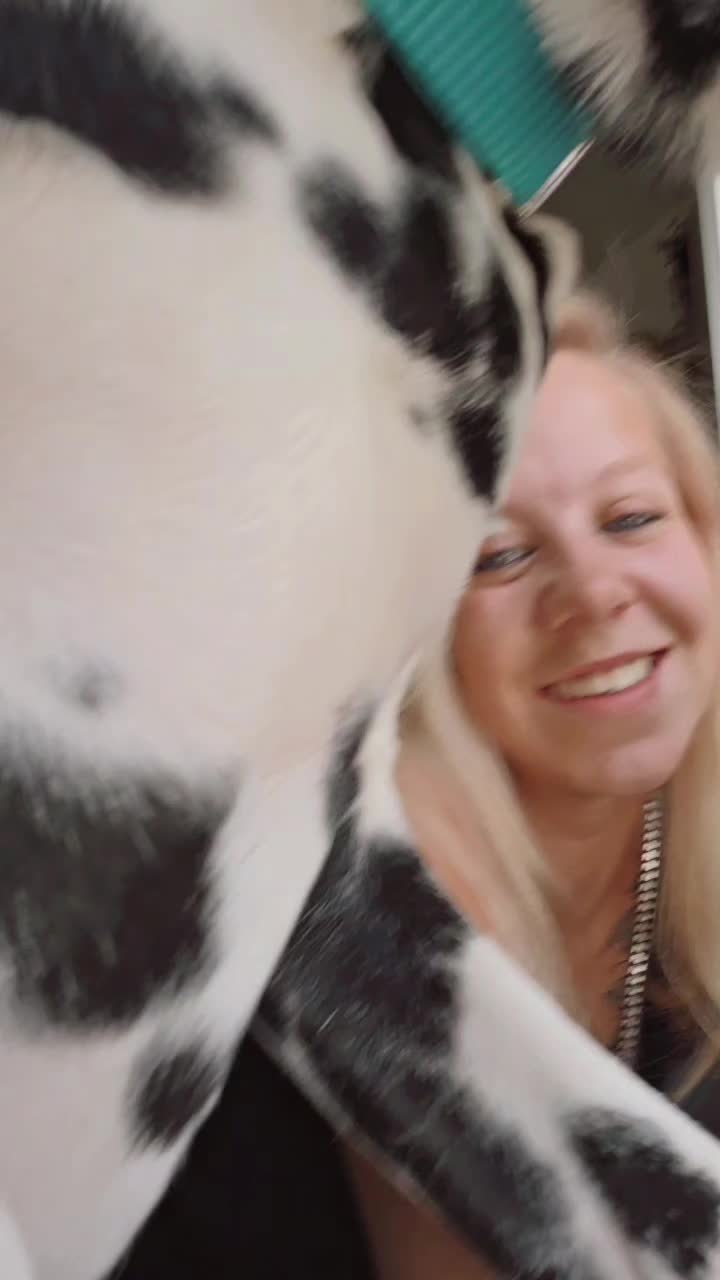 @x.eiskaltesxmiststueck.x