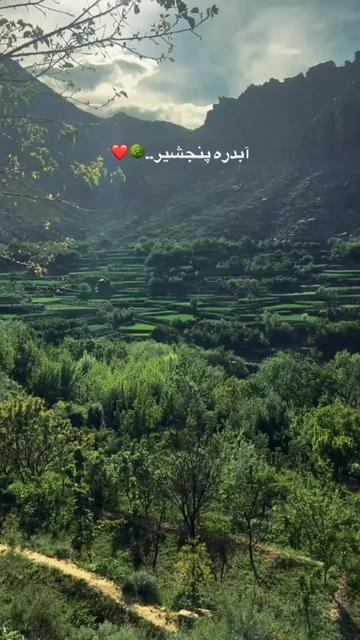@mawlod.salehi☠️🥶