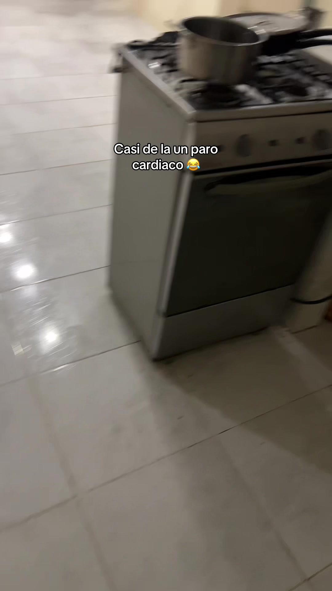 @AbiOliveratto🐹