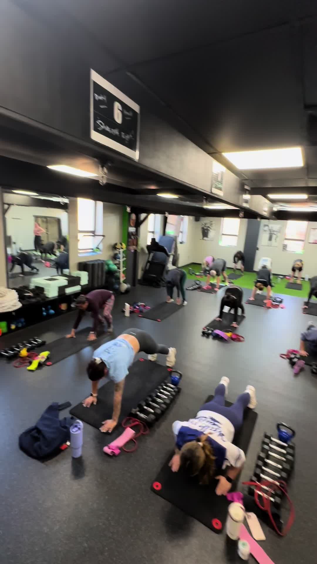 @Freddylive Fitness