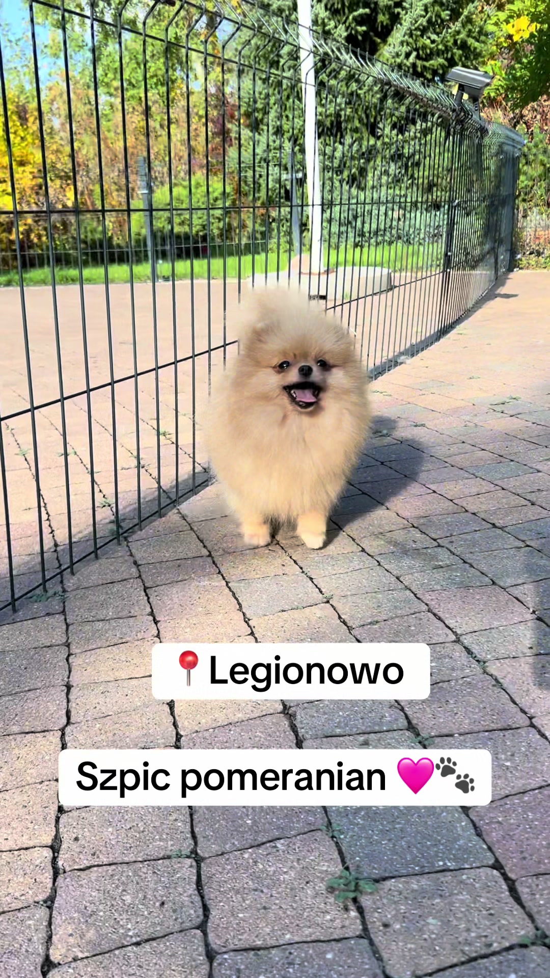@Ulybki_lilu