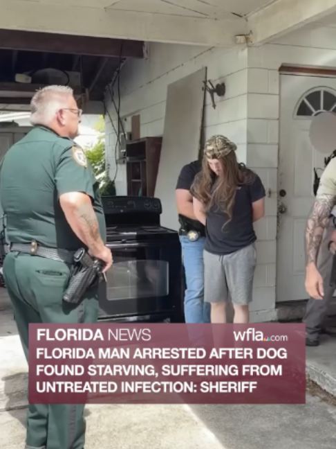 @WFLA News Channel 8