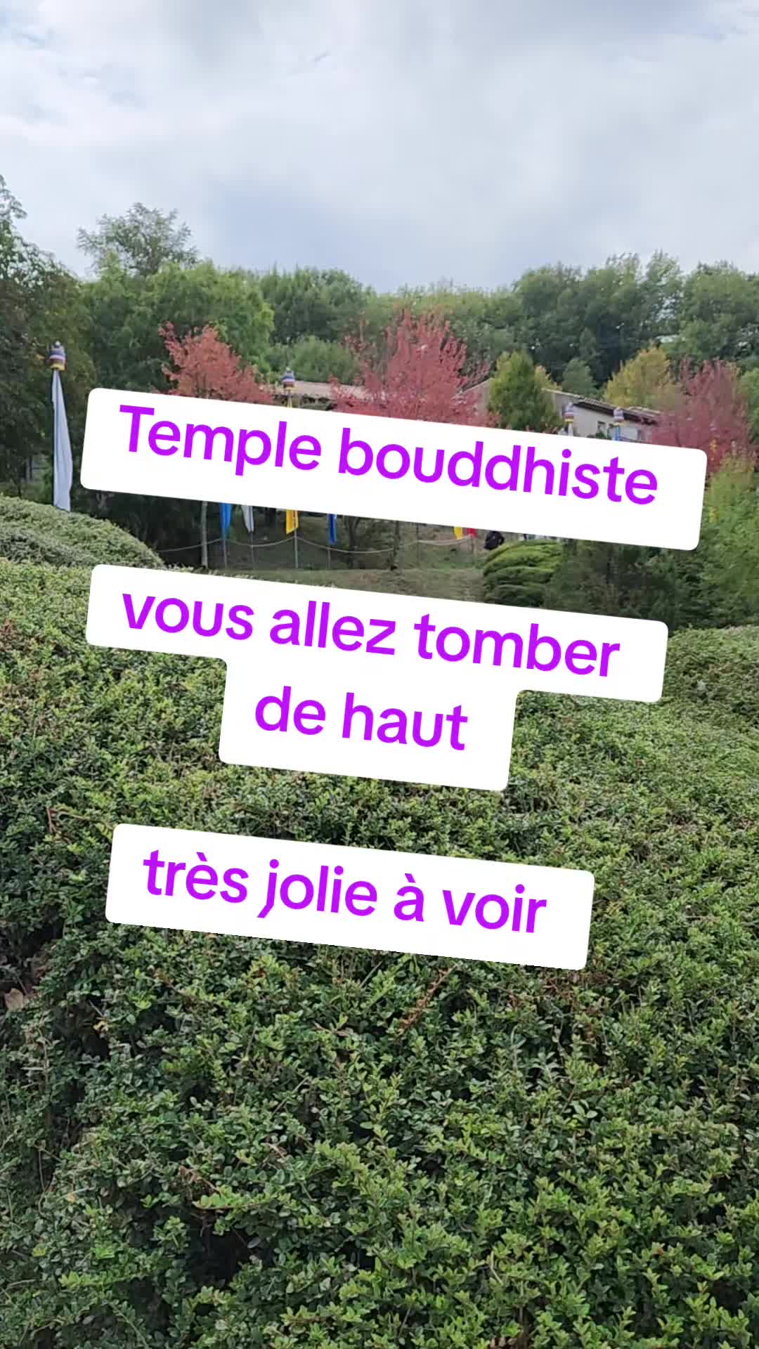 @Erick le ouf