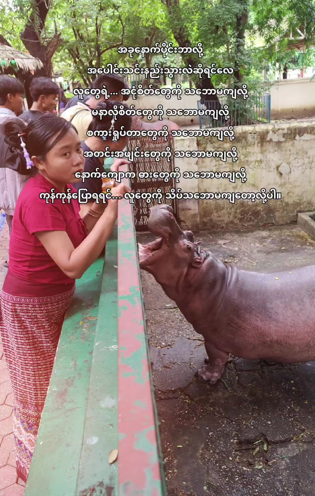 @Kay Khaing Myo968🍉(Meiktila)