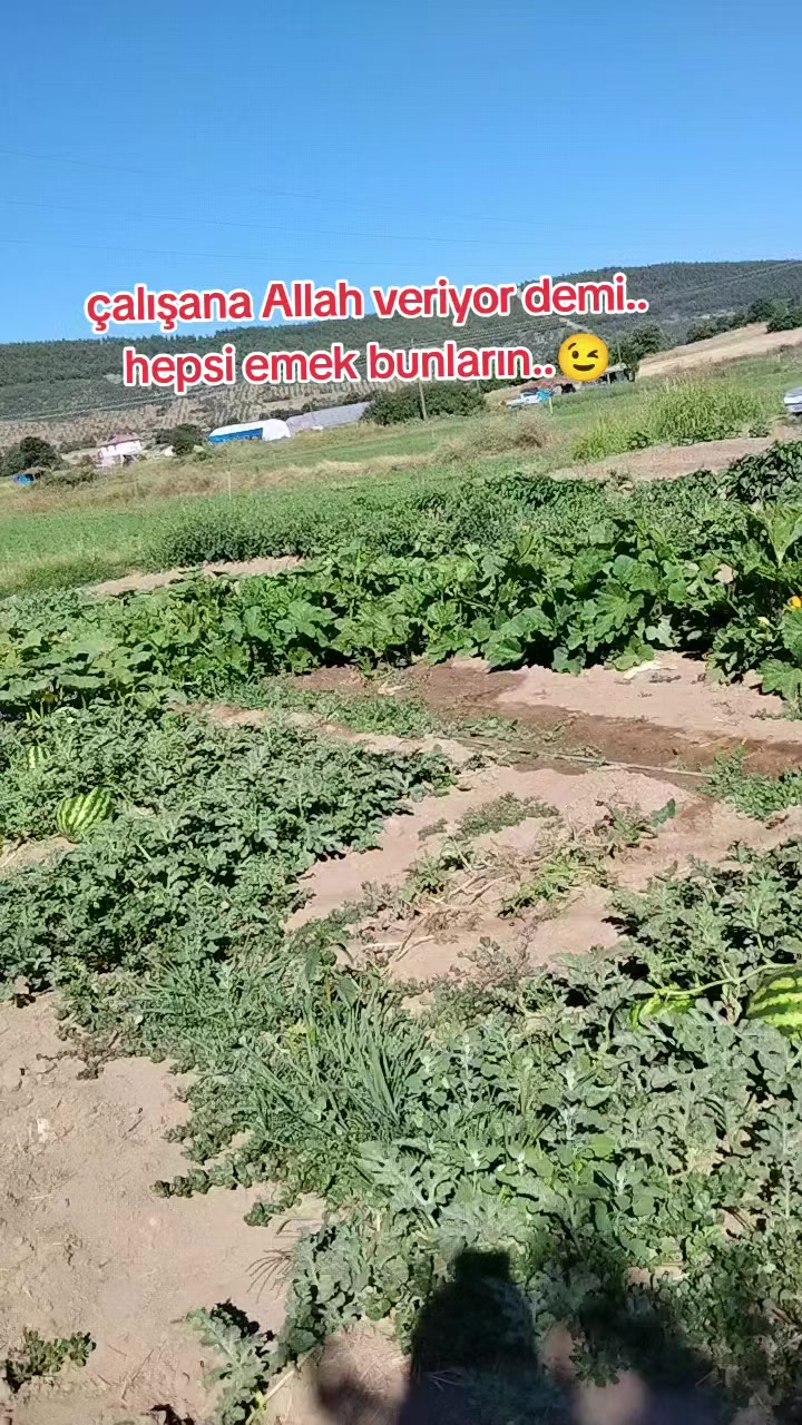 @🇹🇷͜͜͡͡✯YüReĞi GüZeL🇹🇷͜͜͡͡✯