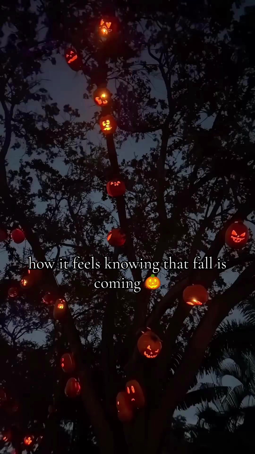 @whoevencares