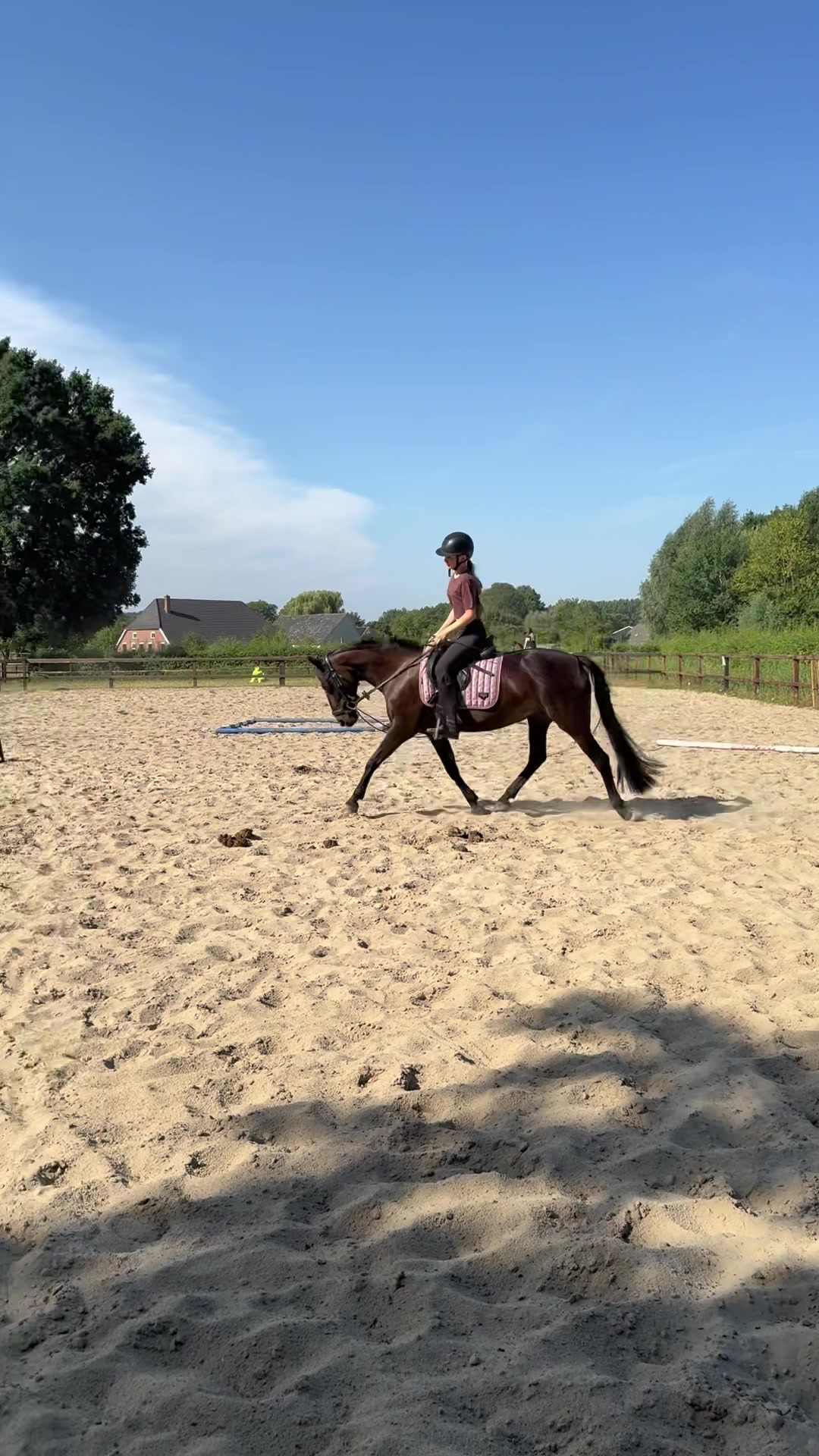 @Equi Roosje🇳🇱