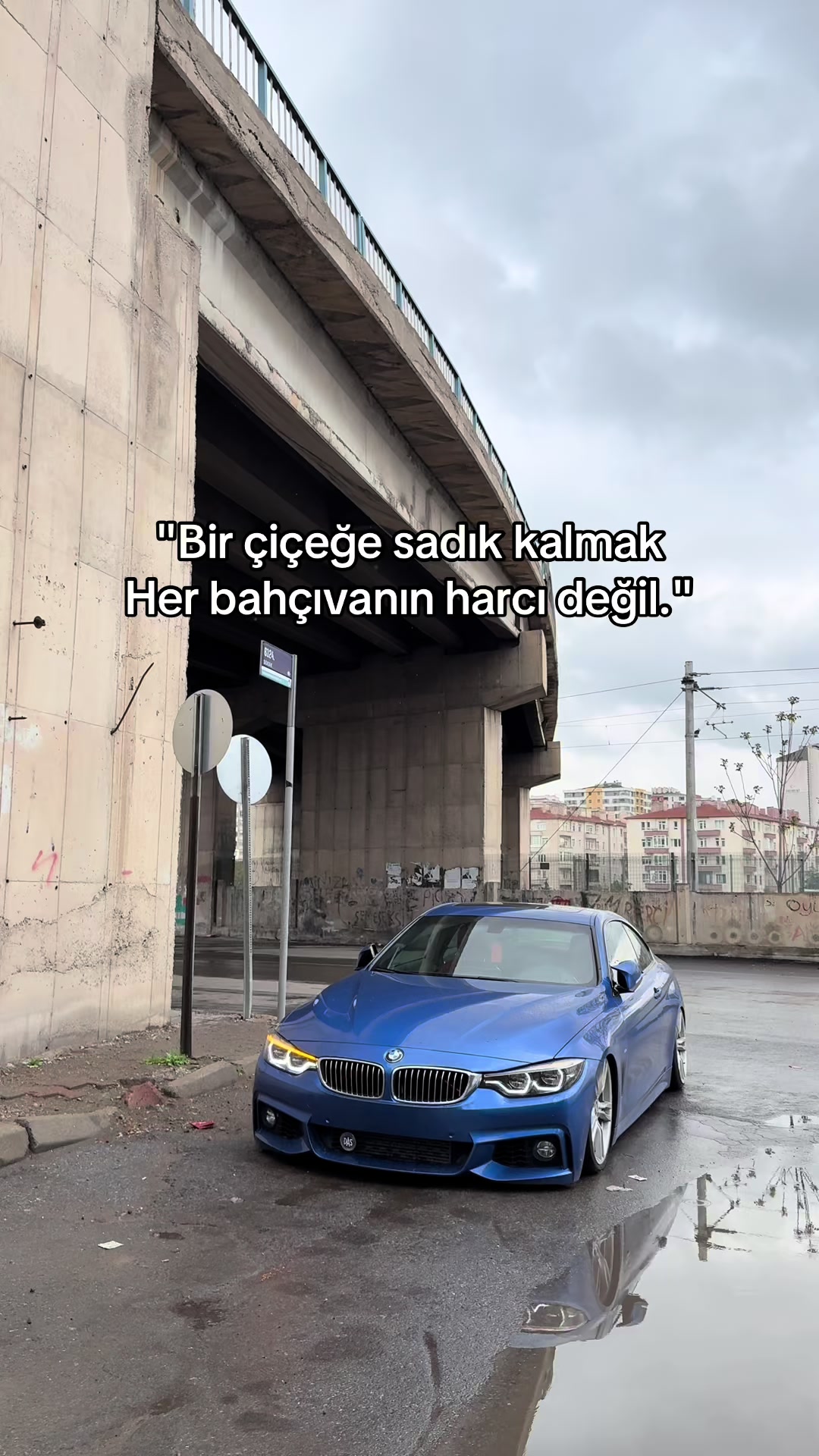 @BERKE SERT