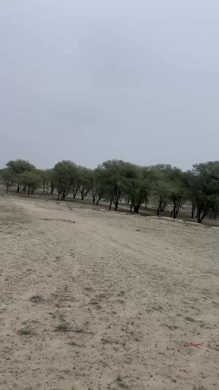 @علقمہ