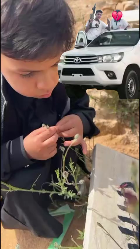 @⚜️سنون⚜️