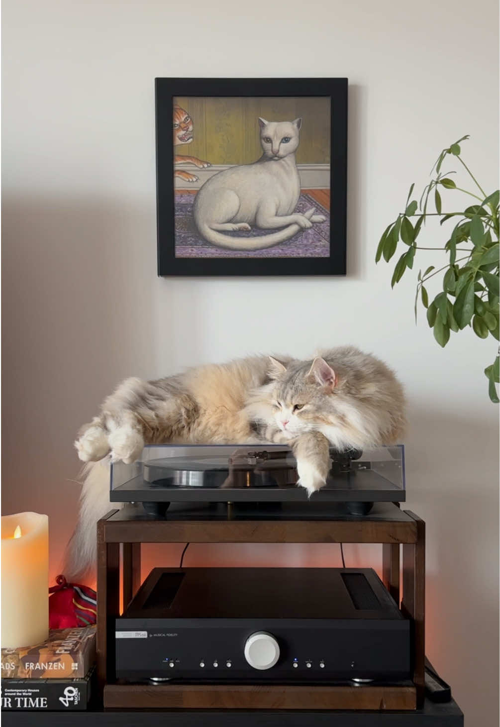 @Leon The Vinyl Cat