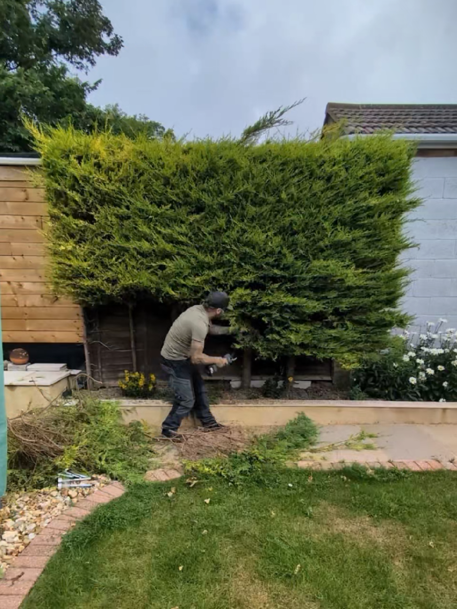 @Gary Hall Garden Services