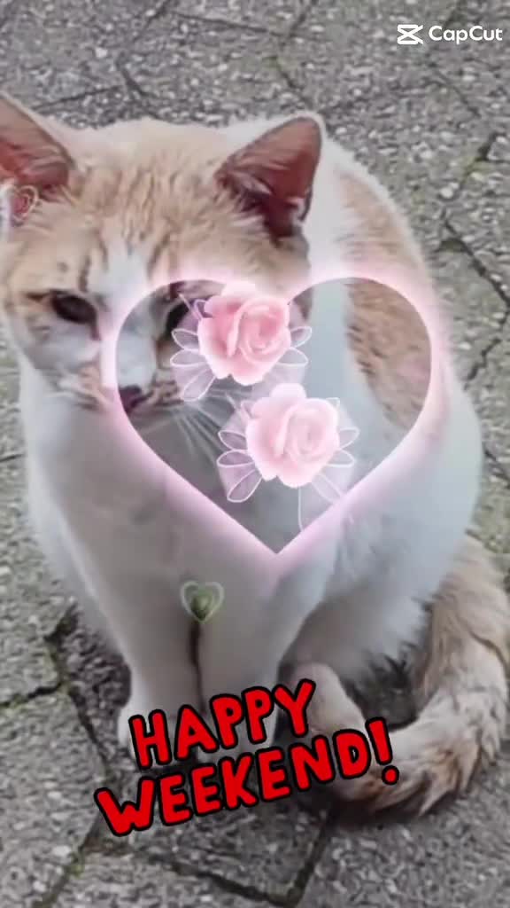 @Babsi