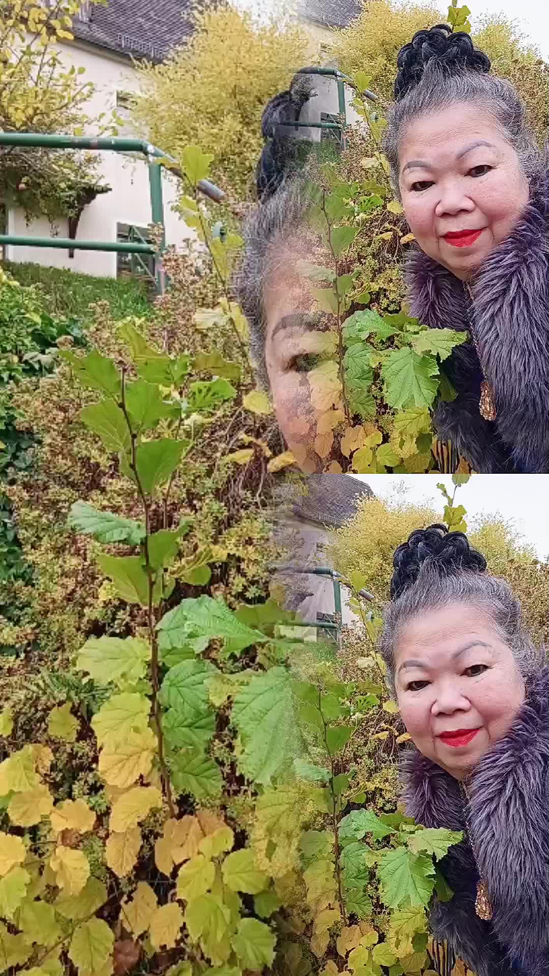 @Bạch yến hoàng