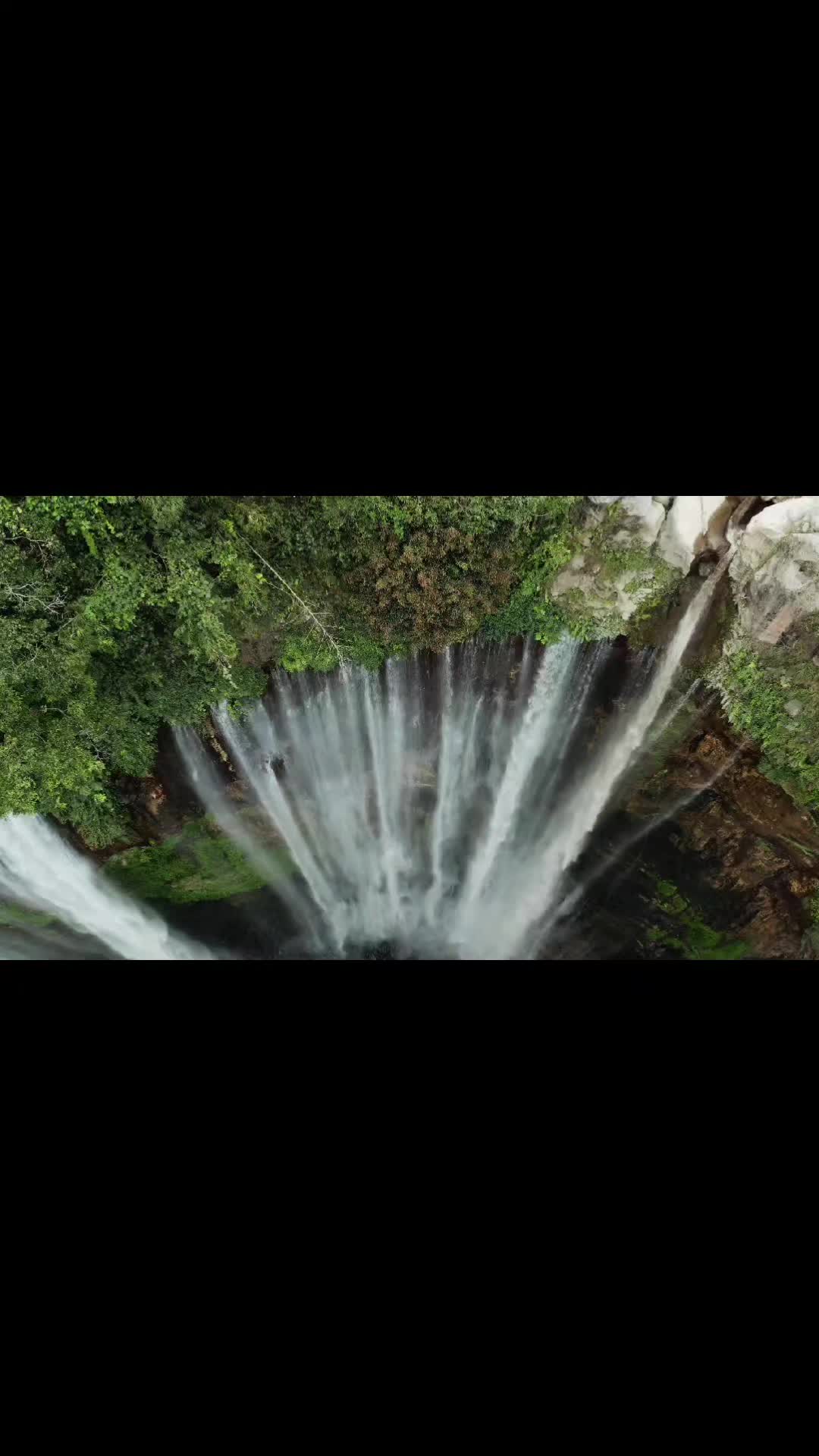 @𝘢𝘲𝘸𝘻𝘰🌲☀️