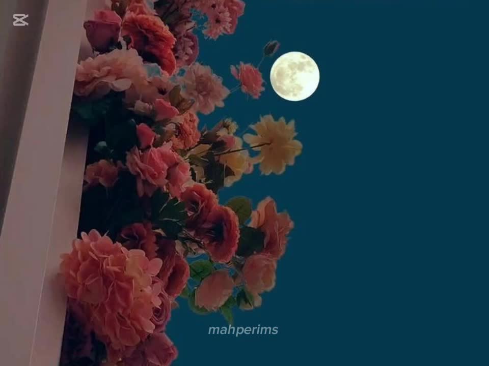 @Mąhpęrįm&sect;🖤✔
