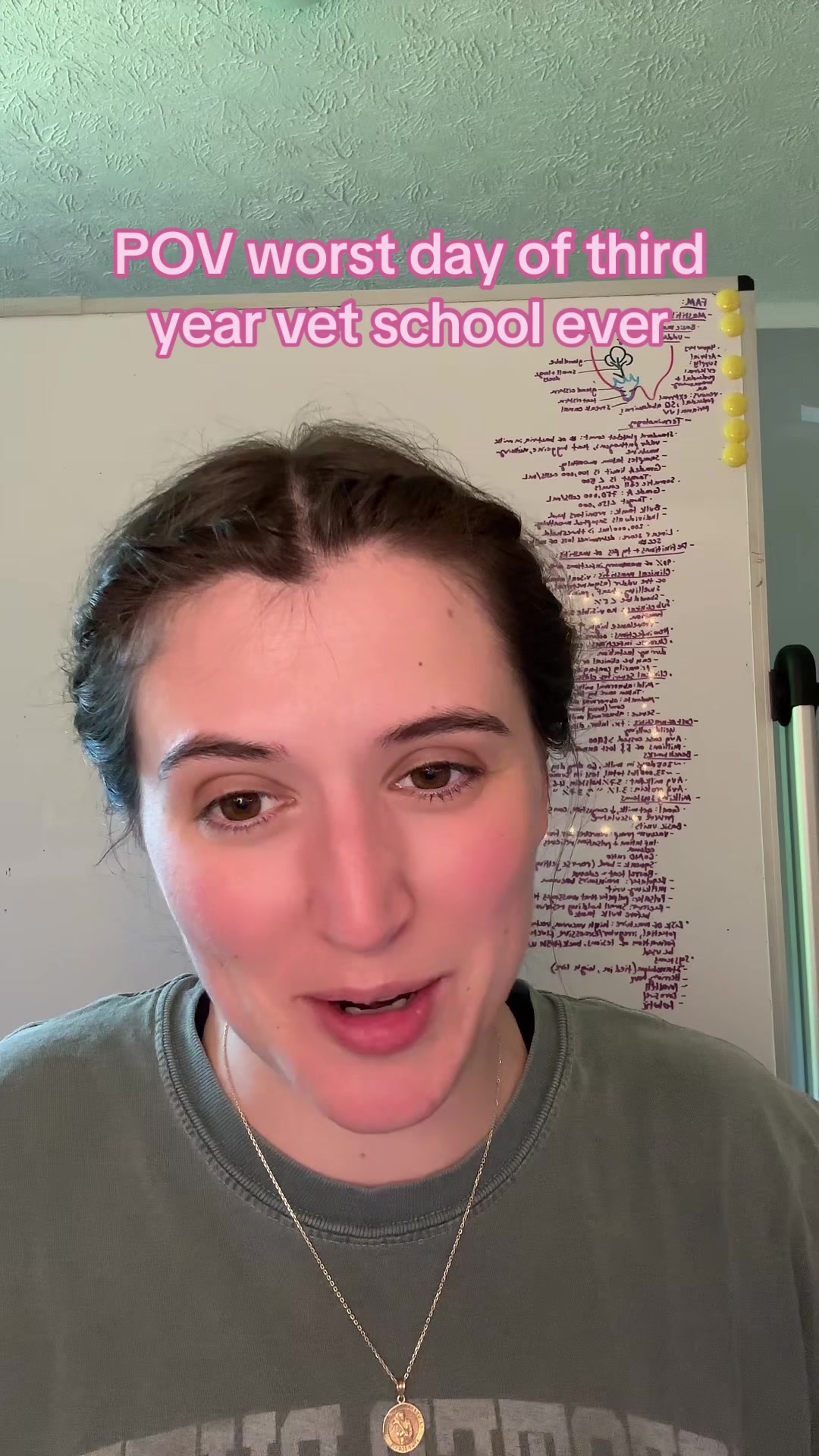 @futuredoctormegdvm