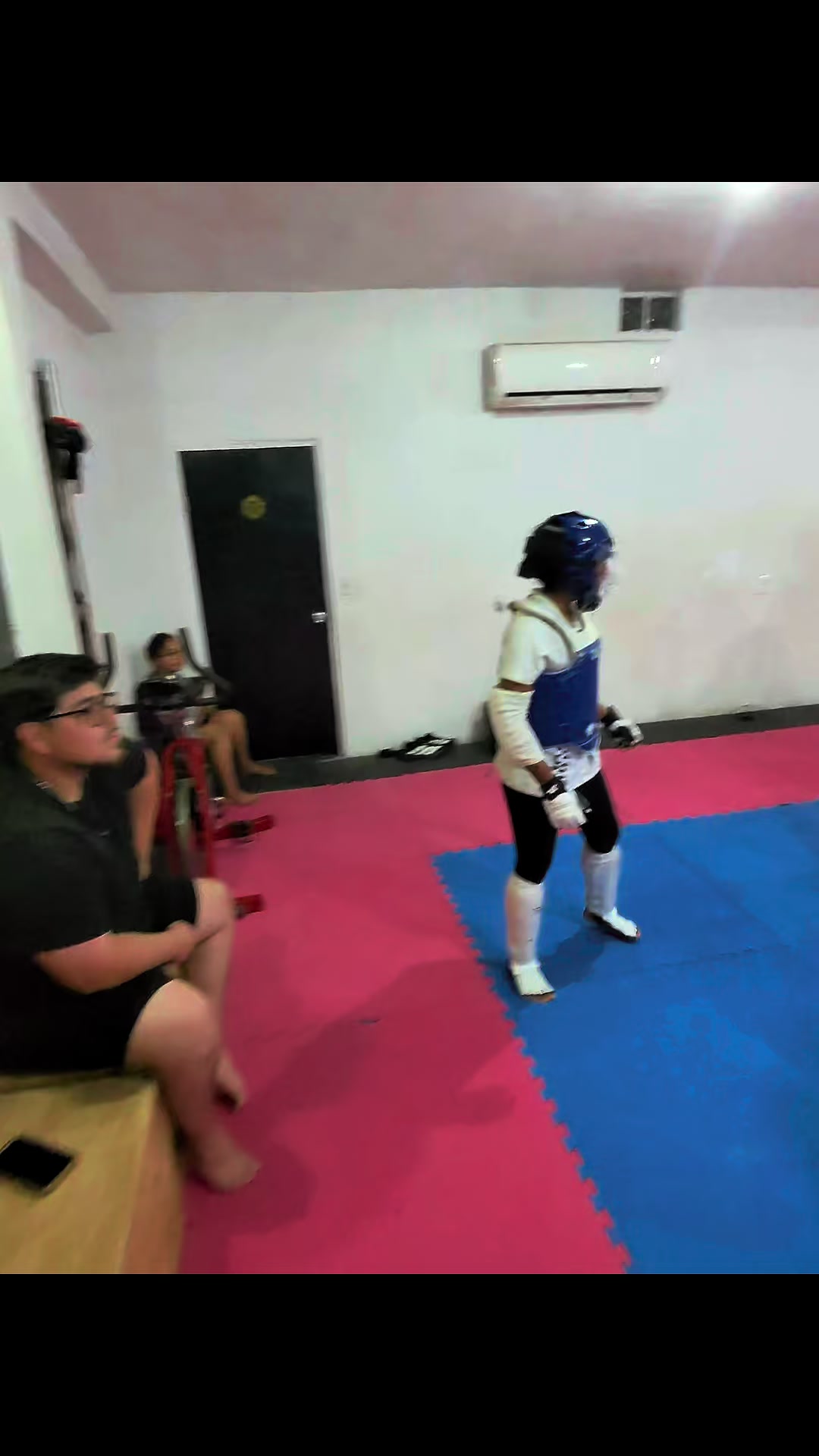 @taekwondolionsteam