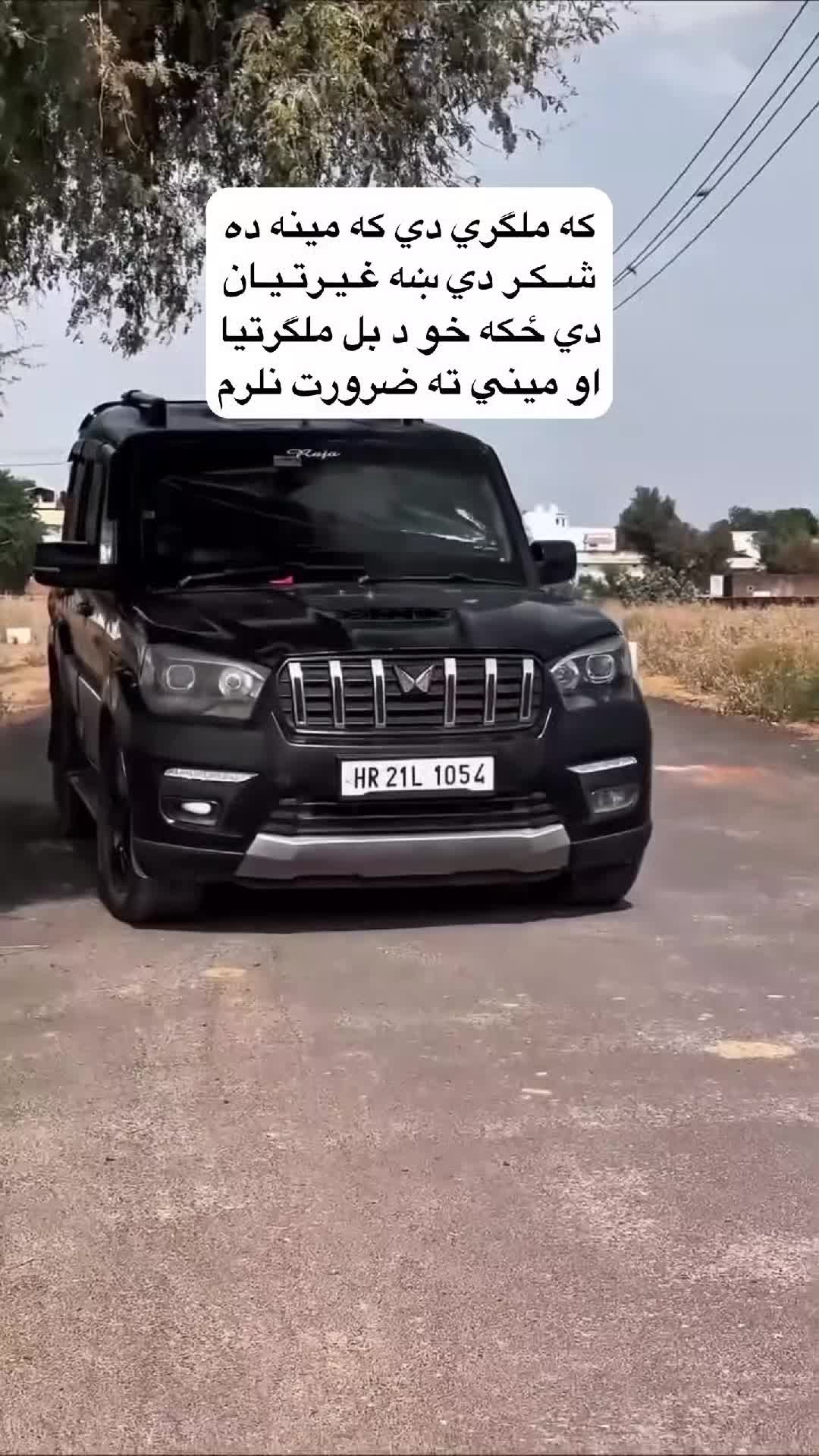 @ضــدی نـنگـرهـاری