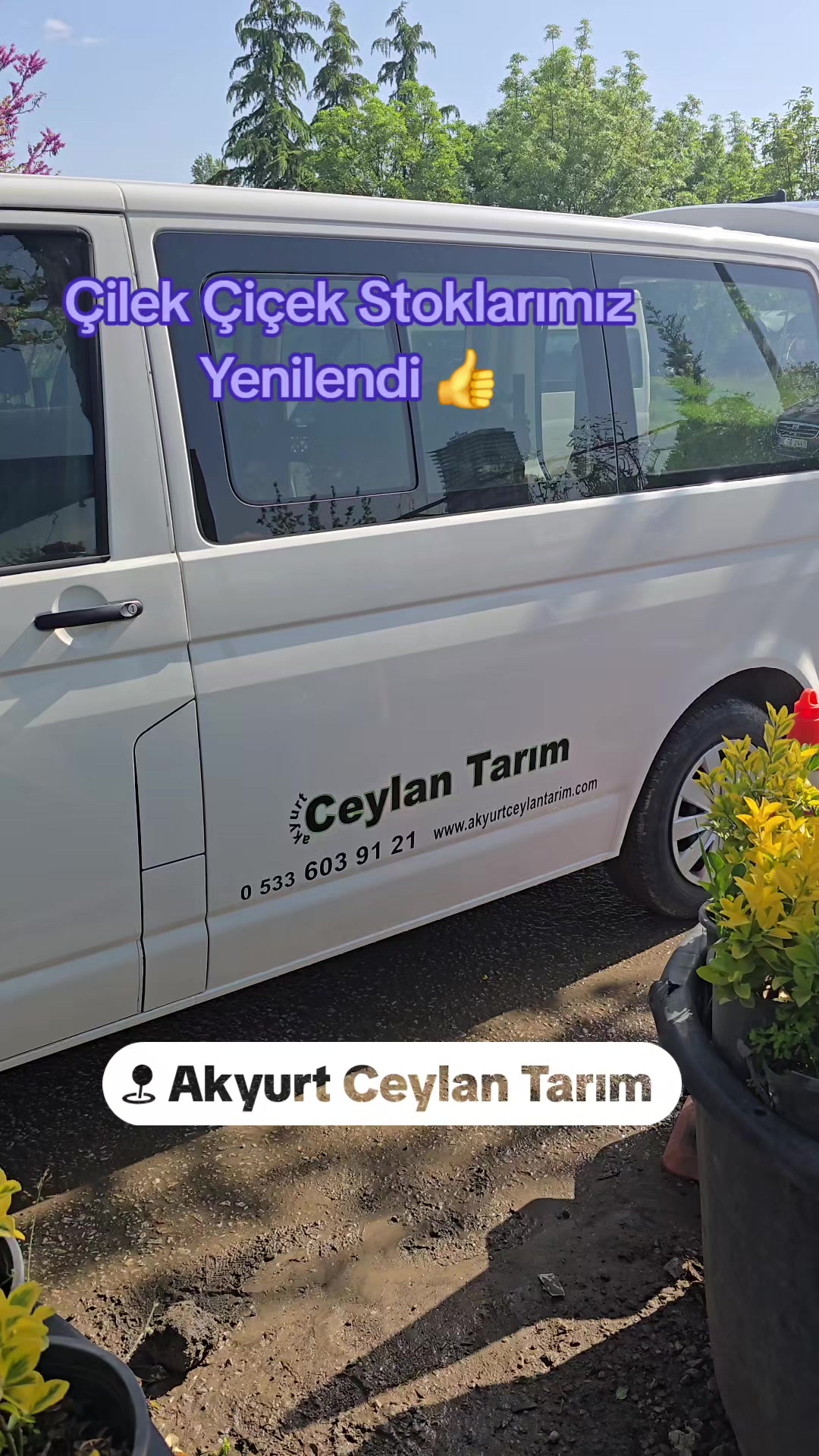 @Engin Ceylan