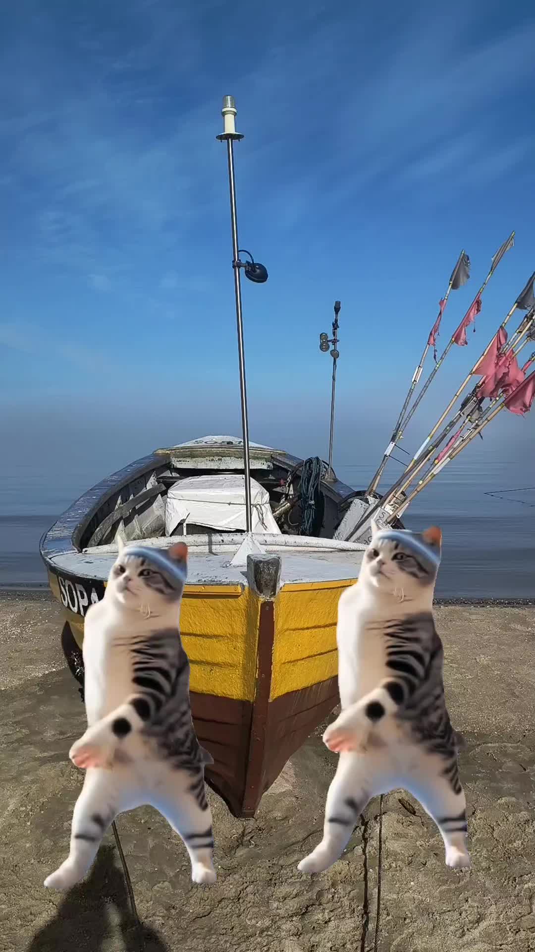 @joannaa_travels