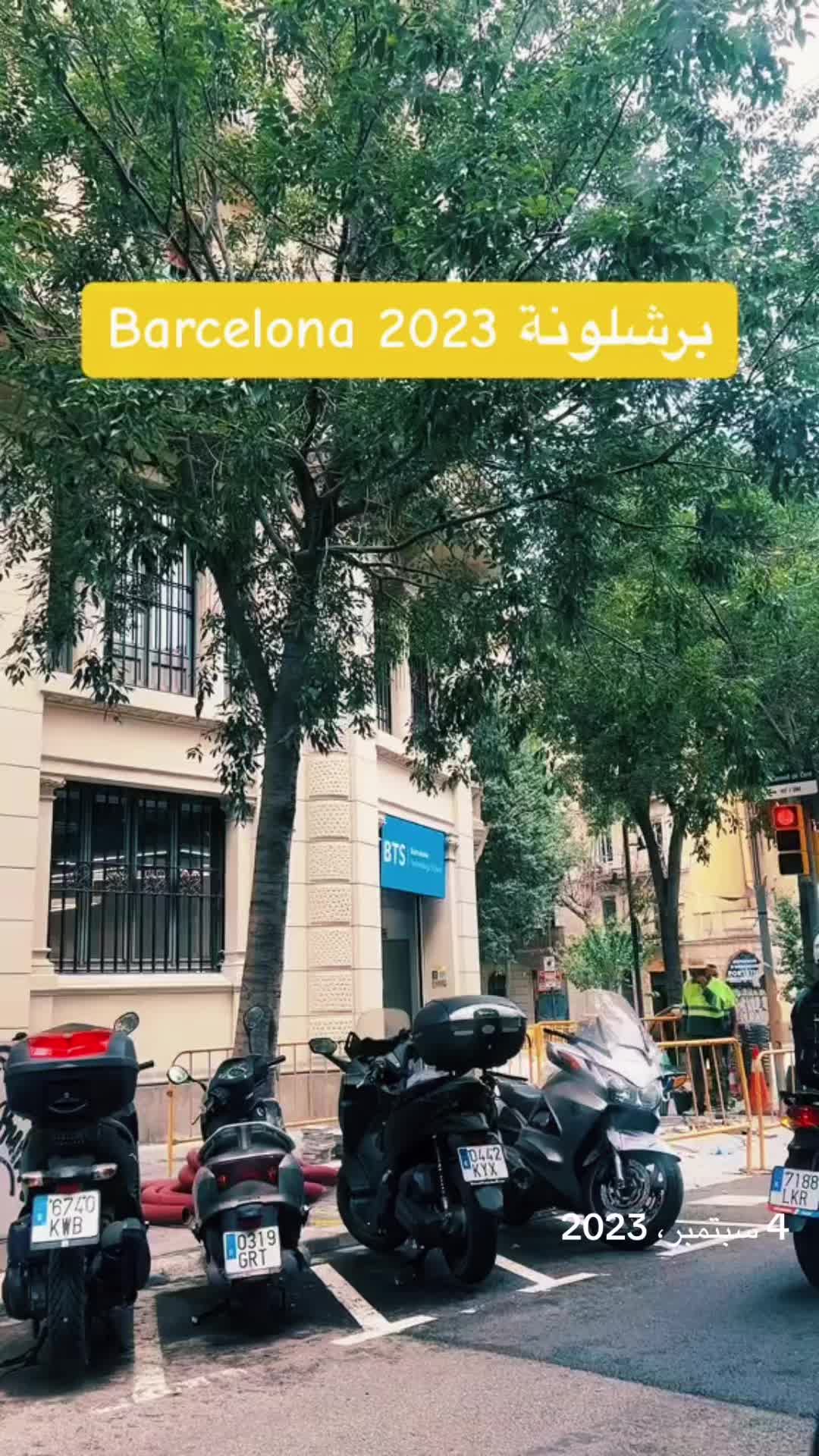 @Aliaa Shaalan
