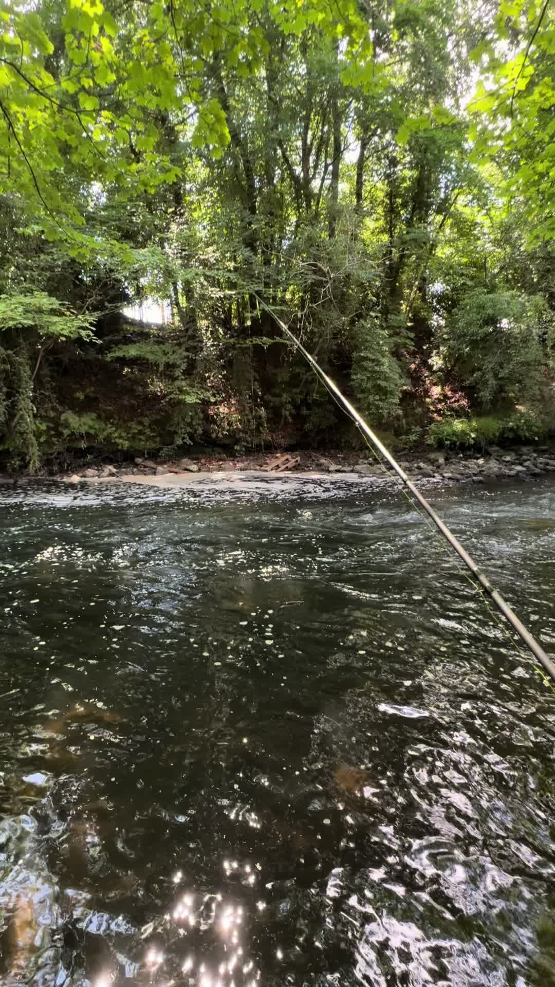 @Alba Trout 🏴