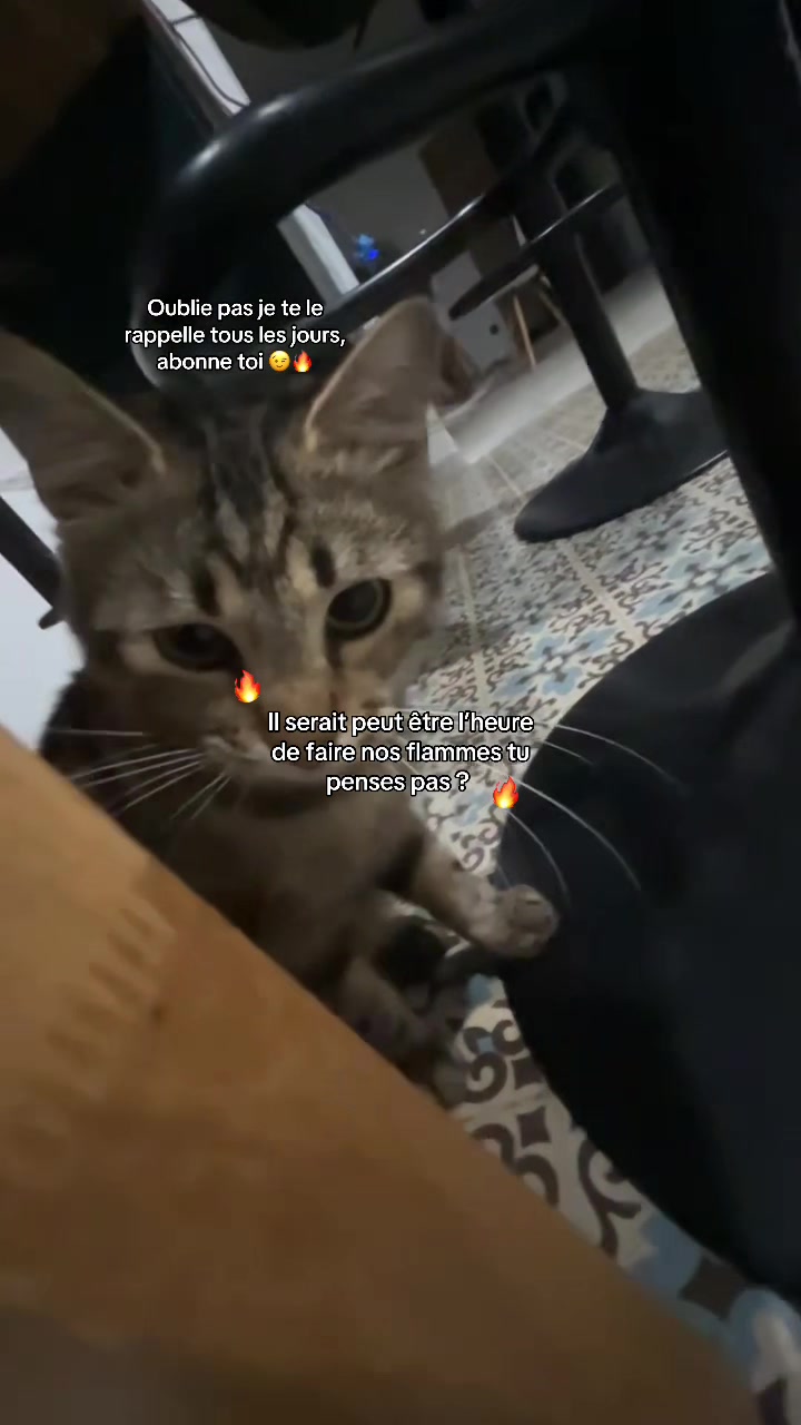 @ᴡʏʏ.ʟᴜ