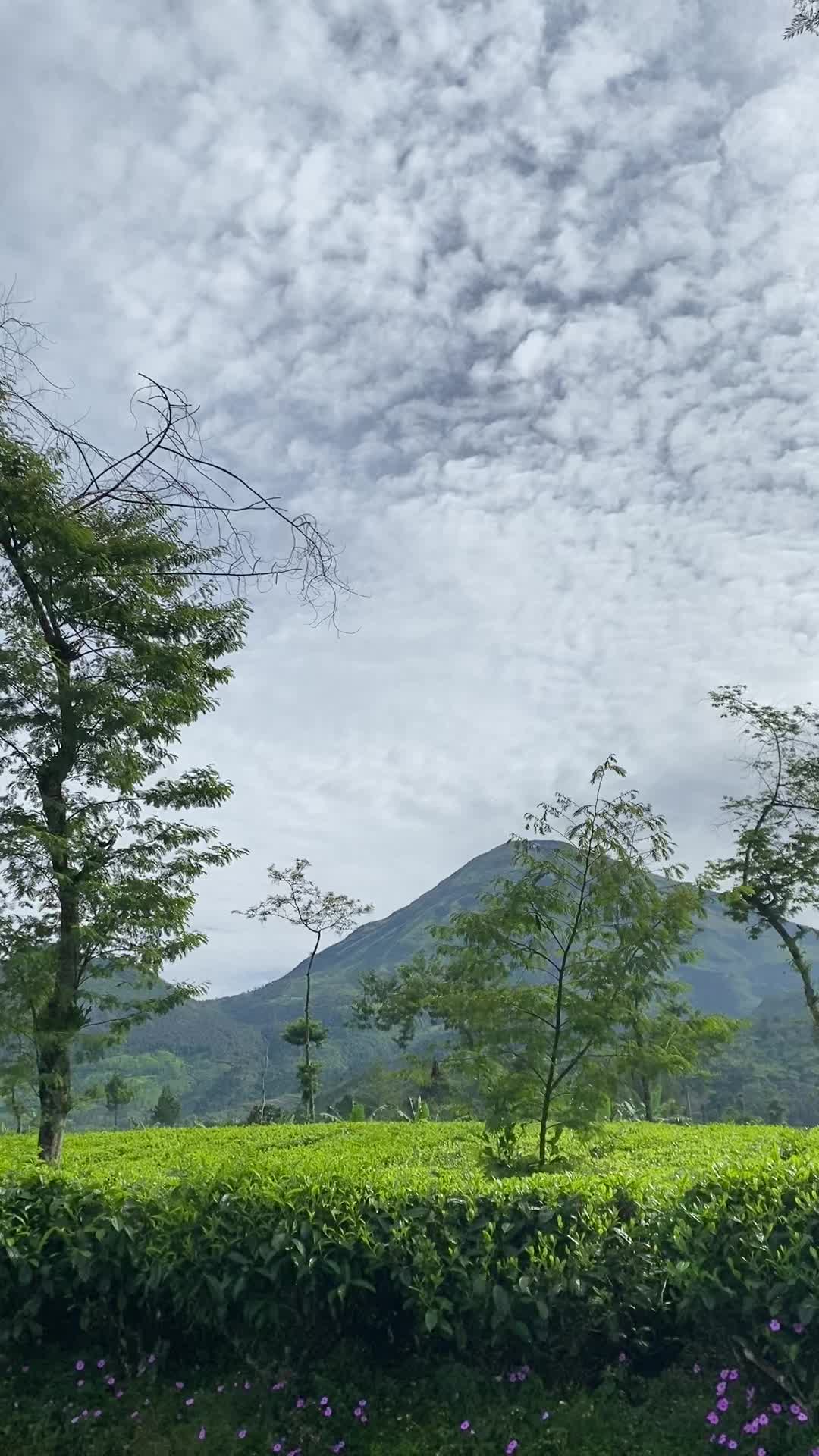 @TUJUHBELAS