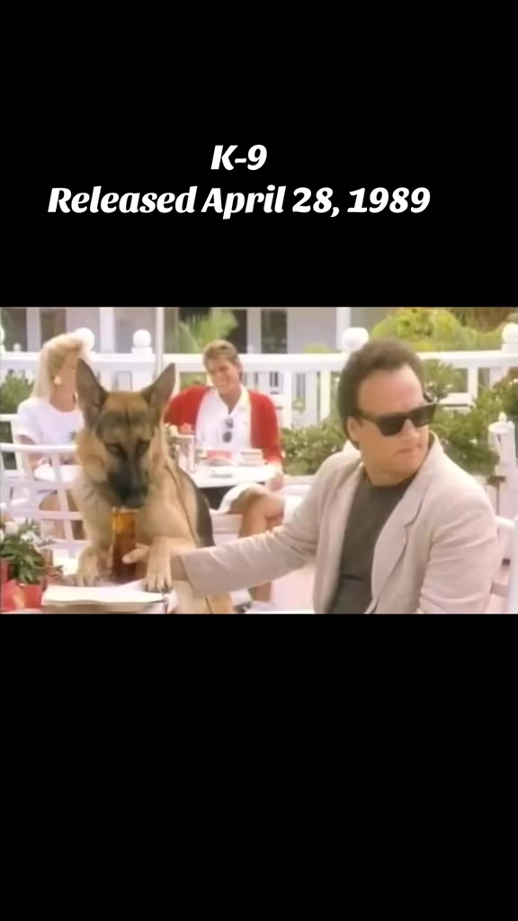 @theeightiesrule