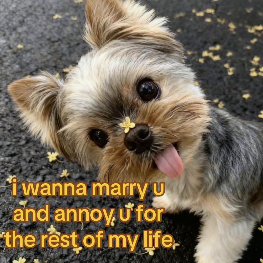 @The Bark Archive