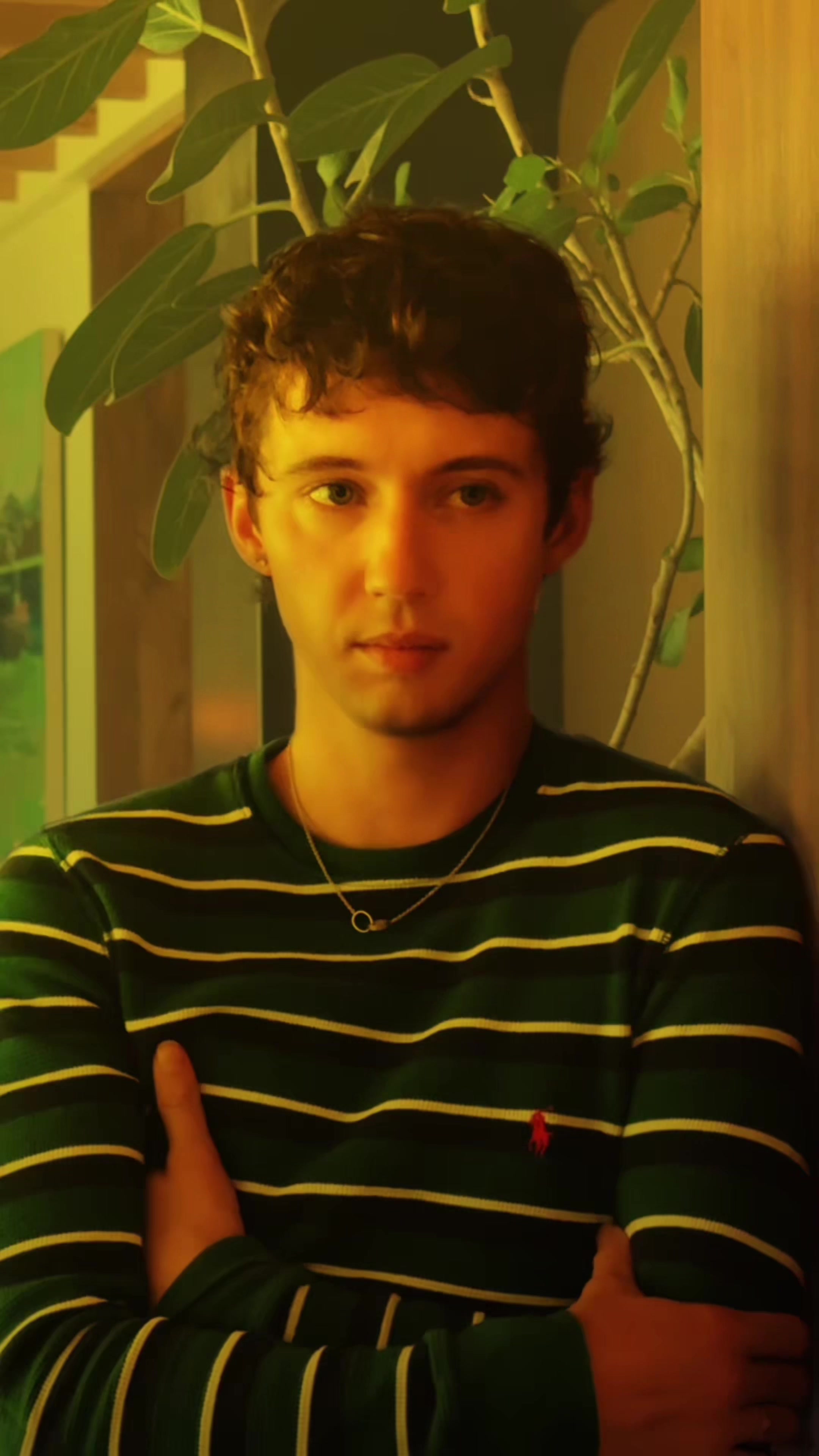 @Troye Sivan