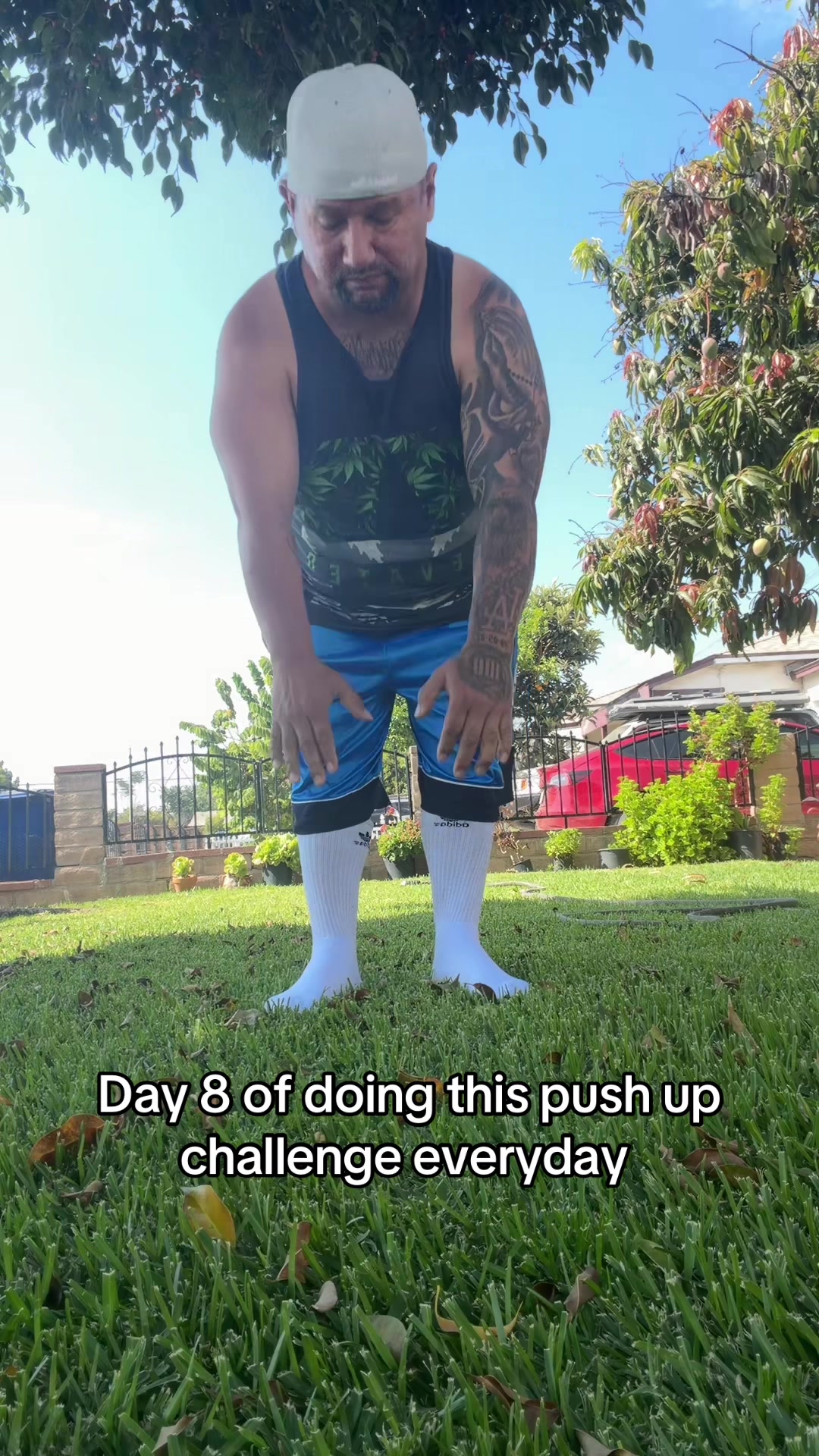 @Boxertherealest1