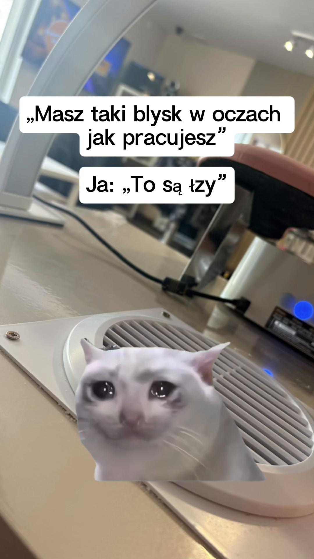 @Bambi 🤡