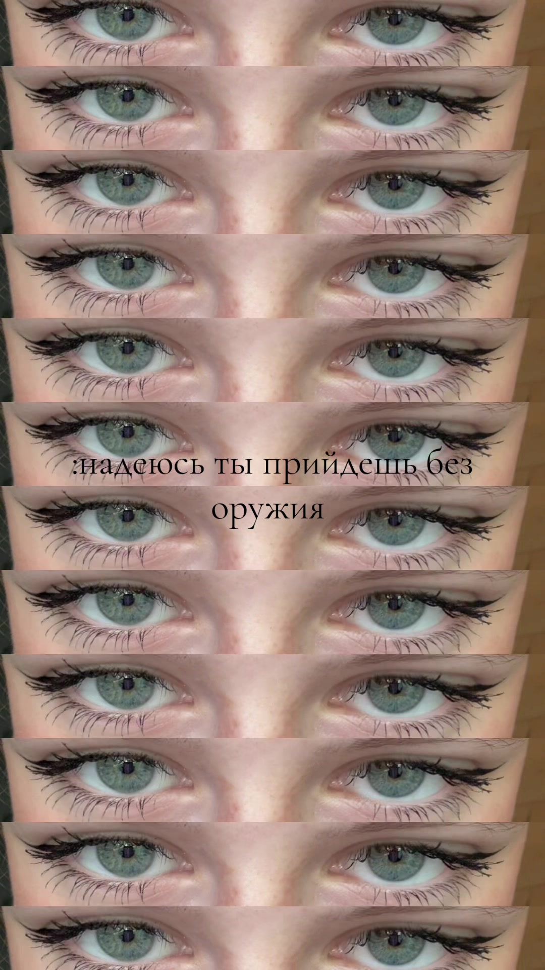 @_senechkab_