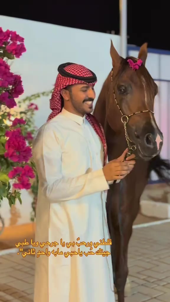@سلطان الشمري