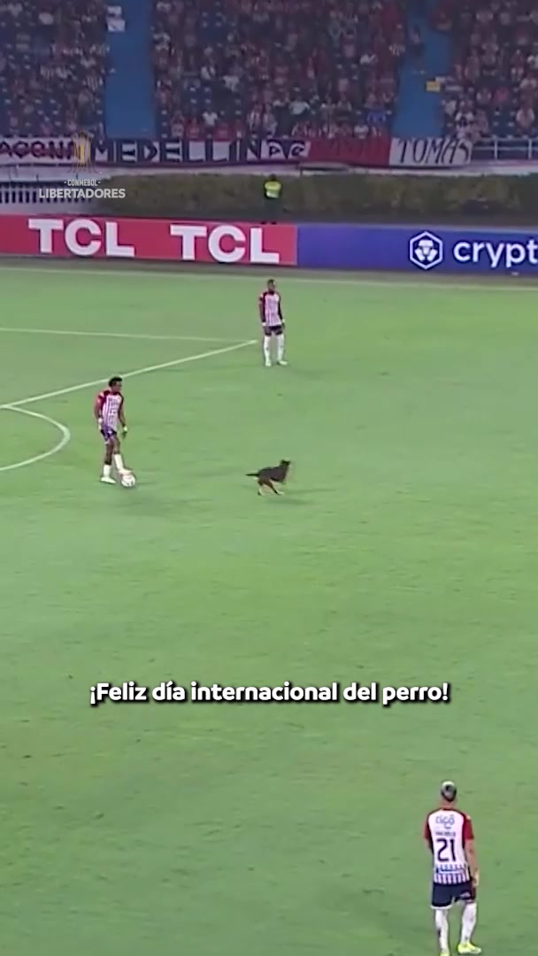 @Libertadores