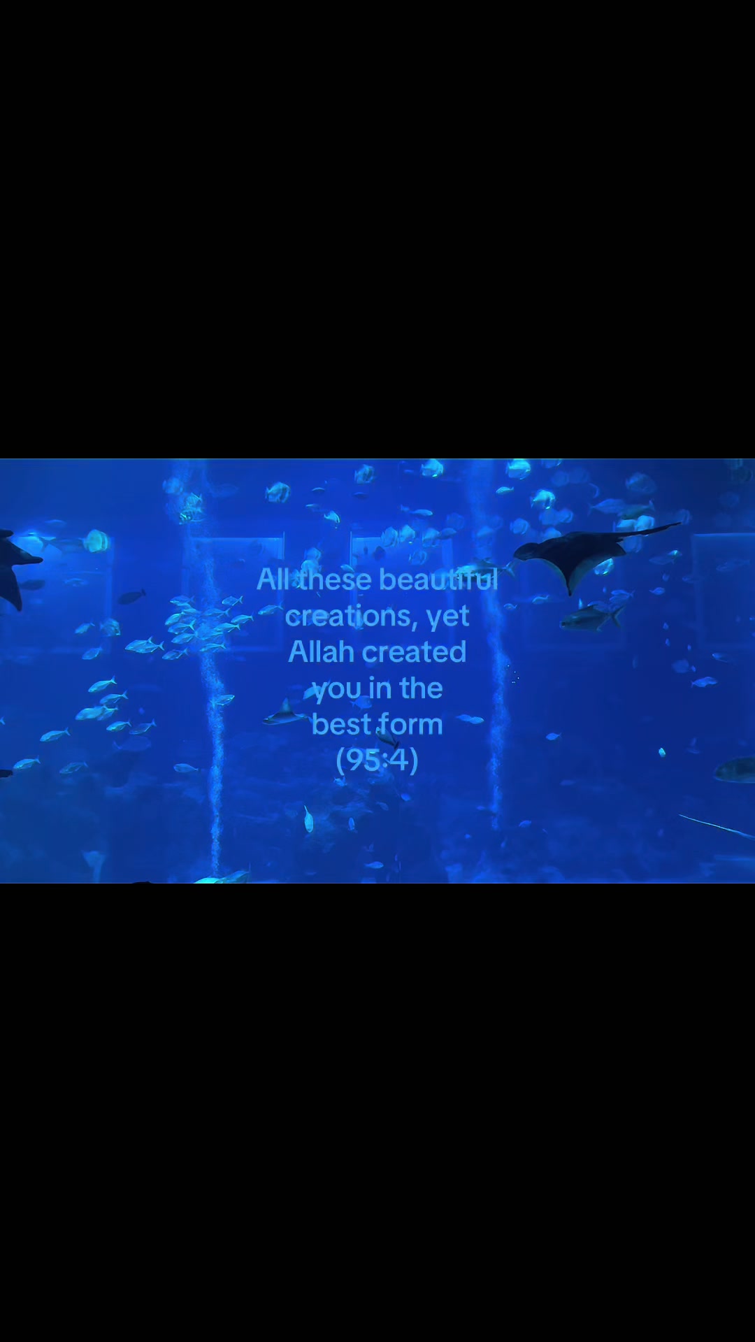 @إِسْحَاق