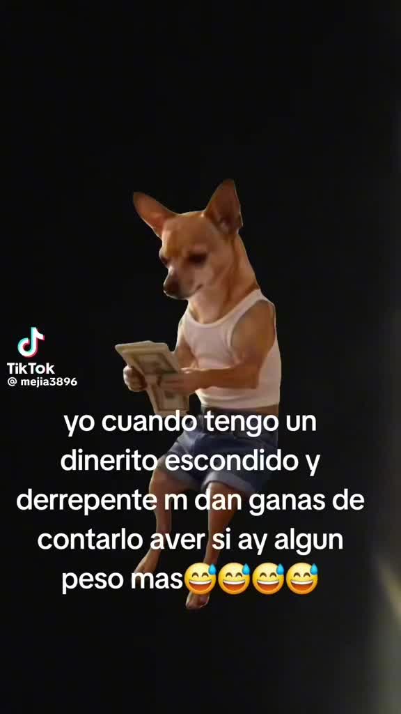 @el chino