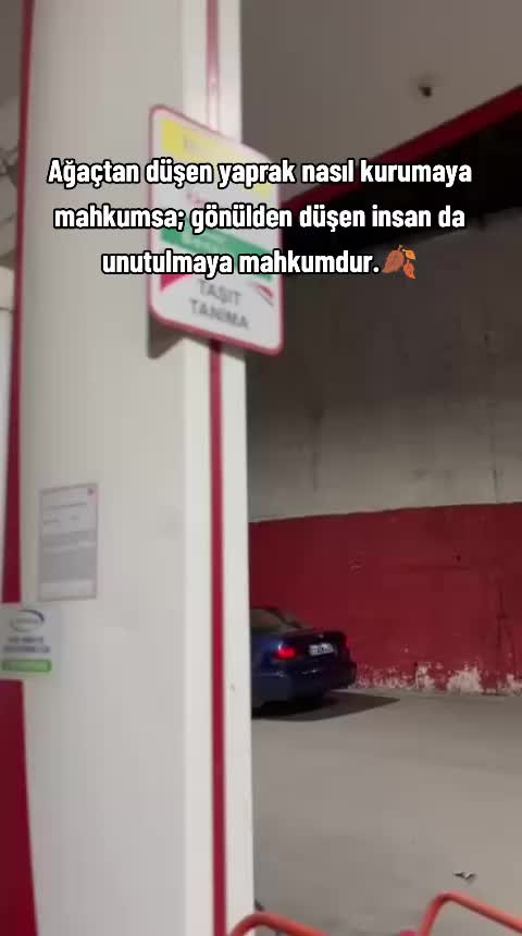 @ozgurdokme1