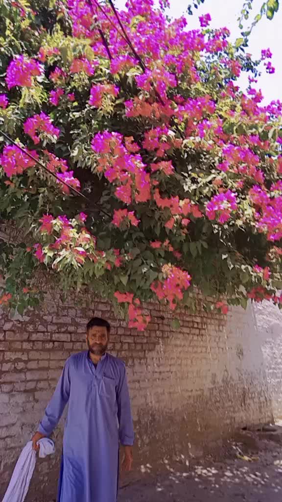 @rafeeryaefb