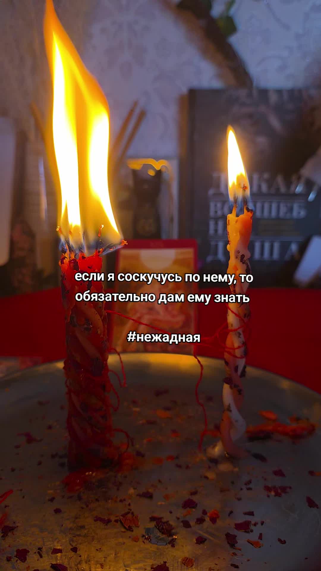 @aliceeback ~ магия жизни