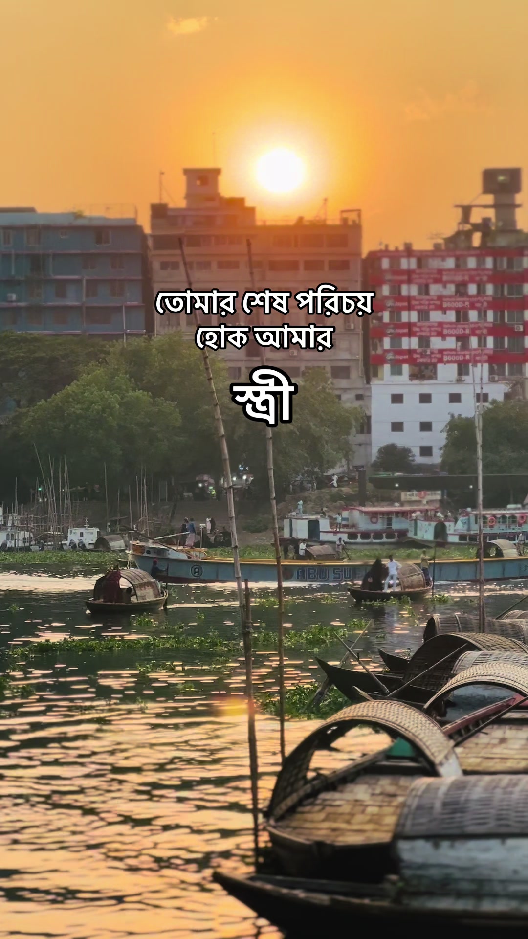 @Tanvir AhmeD&rsquo;z🚩